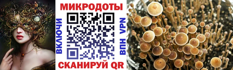 Галлюциногенные грибы Magic Shrooms  Новочебоксарск 