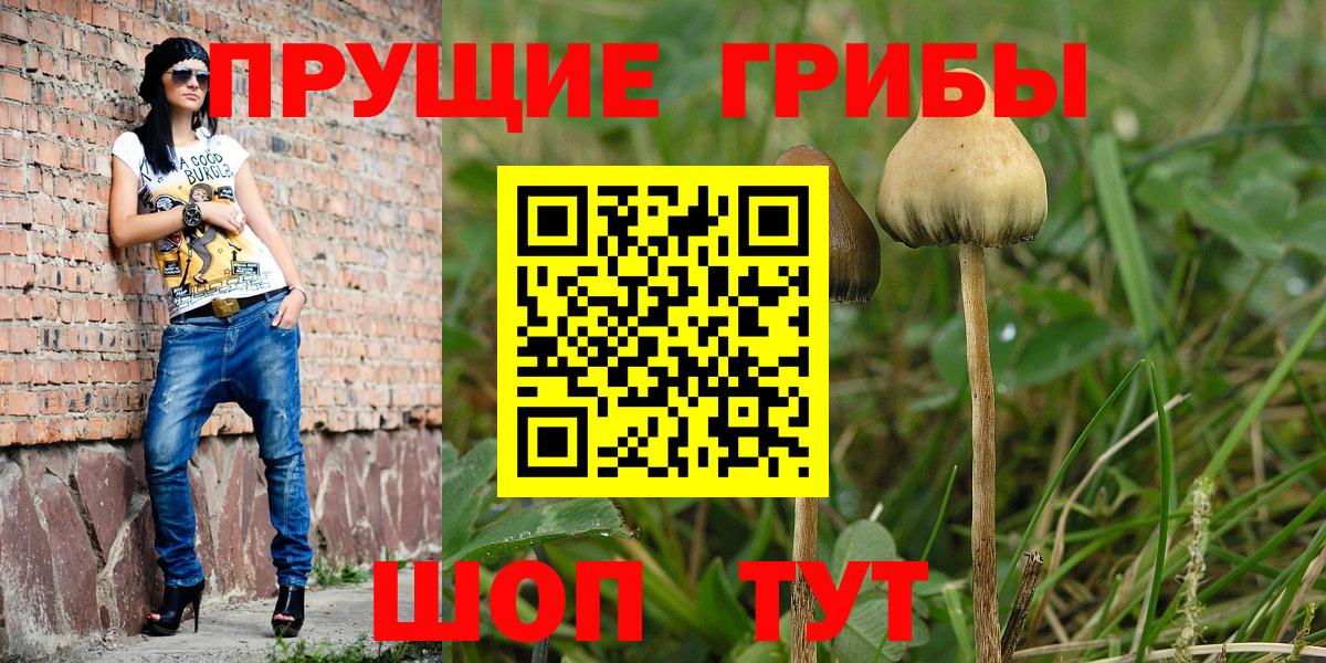 Псилоцибиновые грибы прущие грибы Новочебоксарск