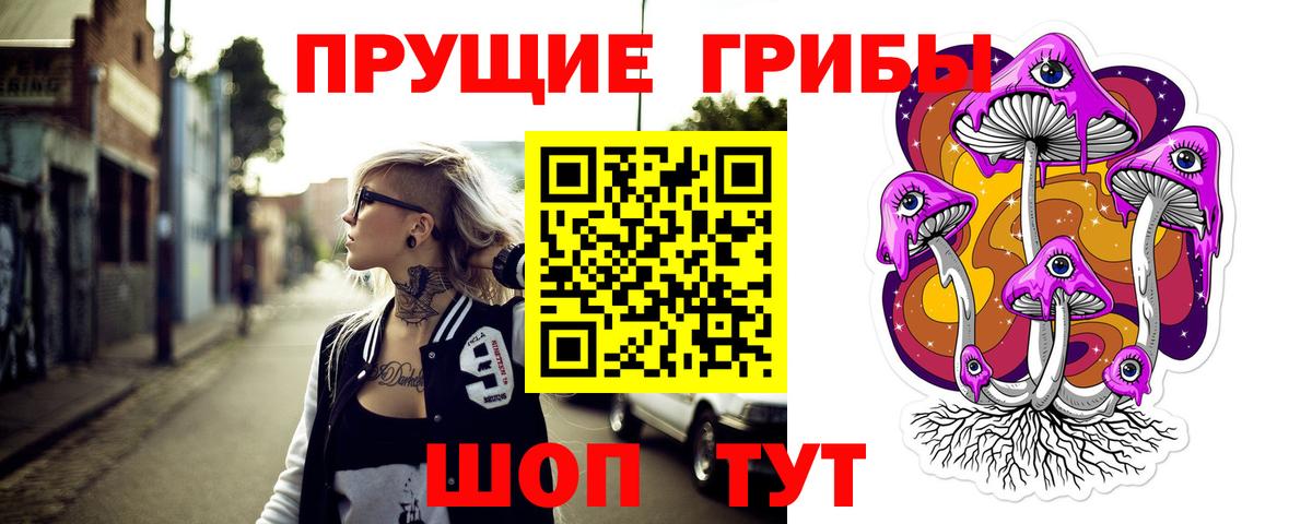 Псилоцибиновые грибы GOLDEN TEACHER  Вход с VPN  закладка  Галлюциногенные грибы мухоморы  Новочебоксарск 